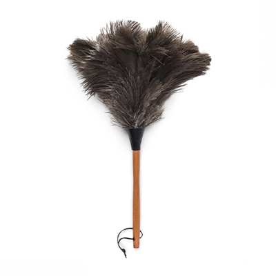 Main feather duster